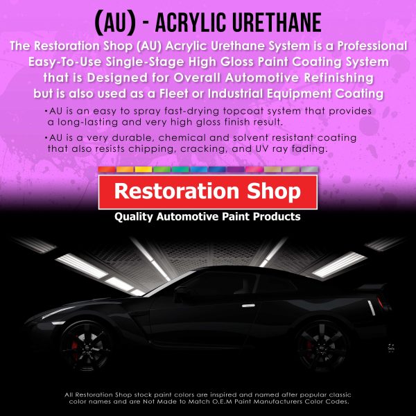 Meteor Gray Metallic Acrylic Urethane Auto Paint - Complete Quart Paint Kit - Professional Single Stage Automotive Car Coating, 4:1 Mix Ratio 2.8 VOC For Sale - Image 3